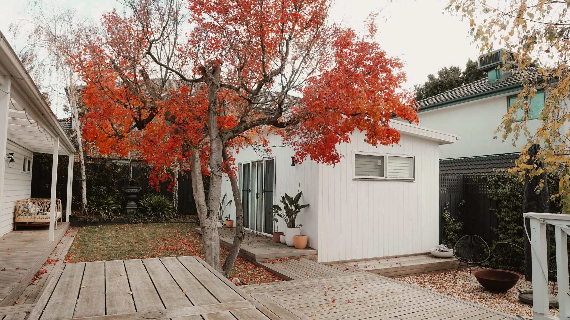Completed rear extension and timber deck under a red maple in Melbourne